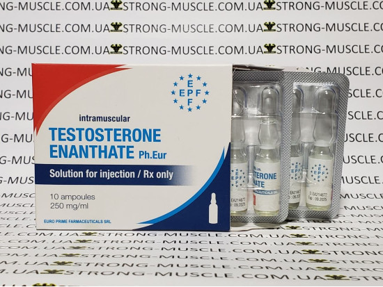 Testosterone Enanthate, 1 ампула, 250 мг (Евро Прайм) Тестостерон Энантат