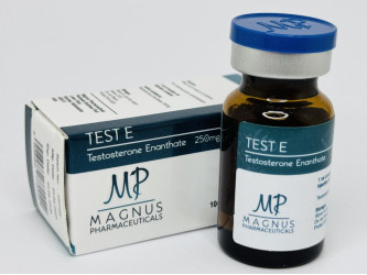 Test E, 10 мл, 250 мг/мл Magnus | Тестостерон Енантат