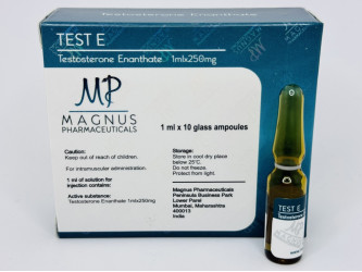 Test E, 1 амп, 250 мг/амп Magnus | Тестостерон Енантат