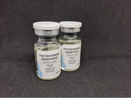 Testosterone enanthate, 10 мл, 250 мг/мл Steroid Pro | Тестостерон Енантат
